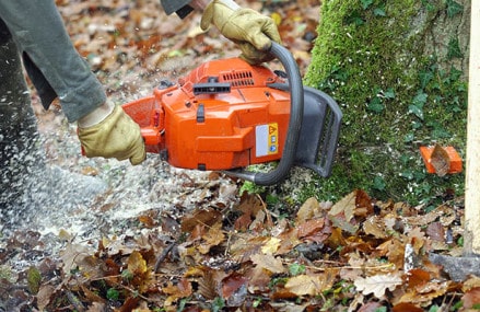 Tree stump removal techniques to keep your yard neat and clean!